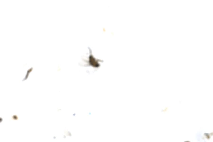 Image 112